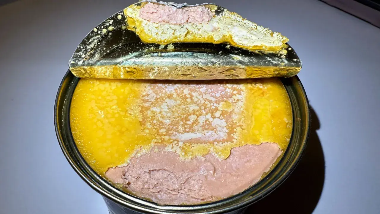 Otwarta puszka z pasztetem. Widoczna warstwa różowego pasztetu i żółtej galarety. To właśnie foie gras co to jest, czyli pasztet z gęsiej lub kaczej wątróbki.