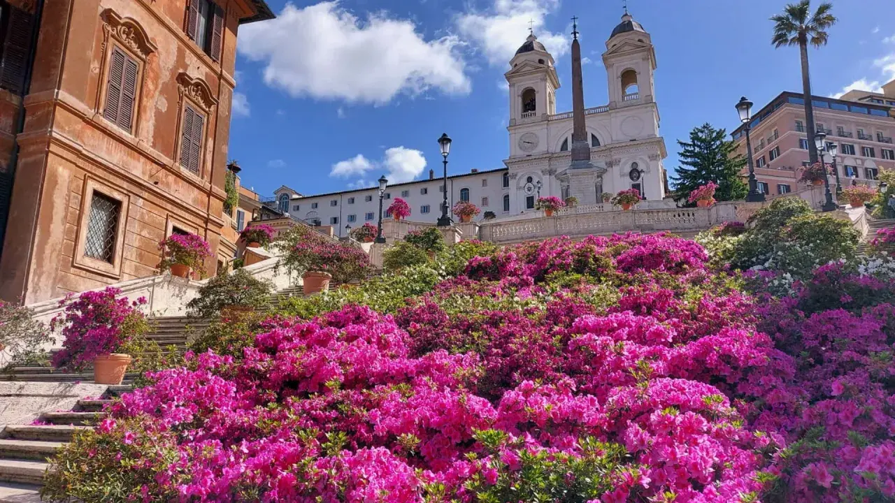 Escalier de la Trinité-des-Monts à la Piazza di Spagna, Rome, fleuri de magnifiques azalées roses et blanches sous un ciel bleu.