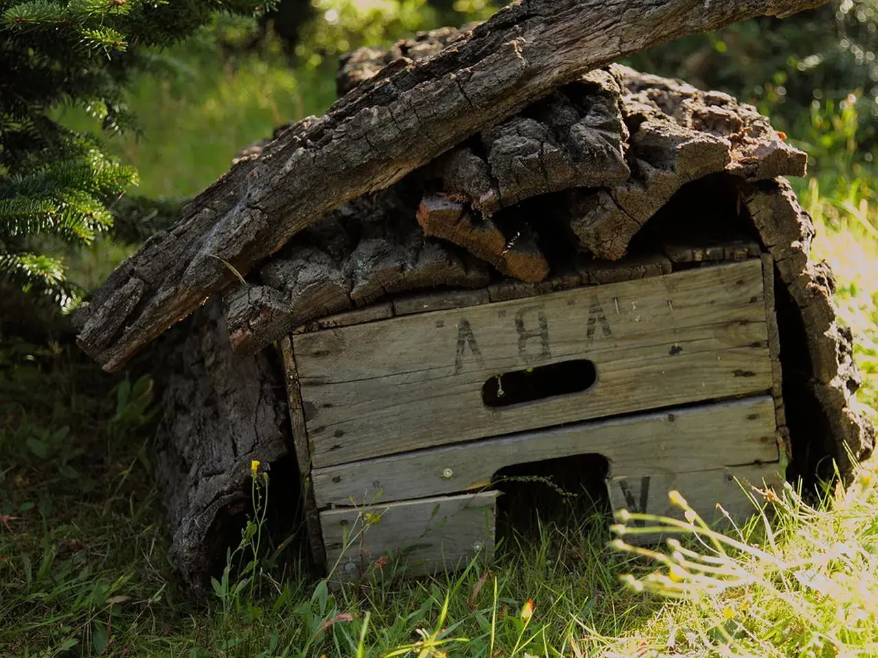 Ein selbstgebautes, katzensicheres Igelhaus aus Holz und Rinde, versteckt im Gras unter einem Baum.