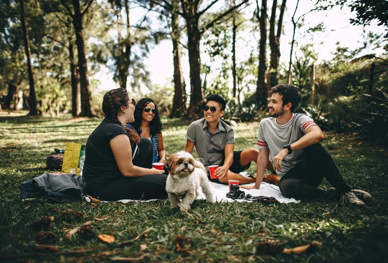 Un grupo de amigos disfruta de un picnic bajo los árboles, compartiendo risas y un perro juguetón. Un ejemplo de relaciones de amistad sanas.