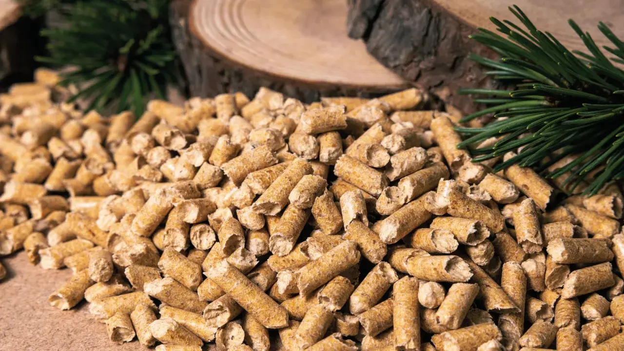 Gros tas de granulés de bois, parfaits pour la consommation pellet maison 80m2. Des branches de pin et des rondins de bois en arrière-plan.