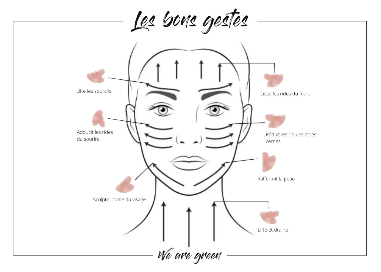 Illustration montrant les bons gestes pour un facial massage avec des outils Gua Sha pour lifter, lisser et raffermir la peau.
