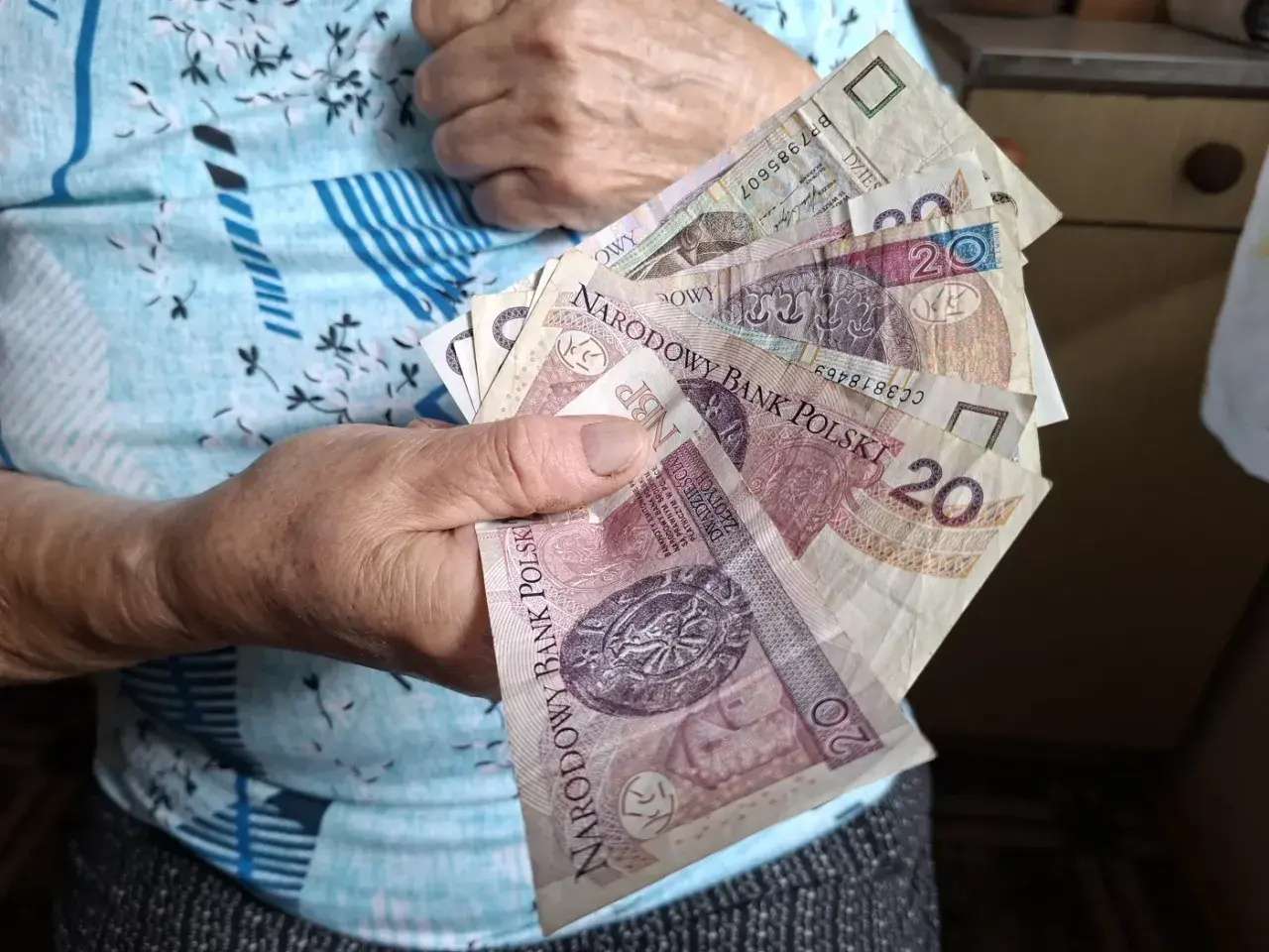 Dłoń trzyma polskie banknoty, symbolizujące środki na życie, być może jako zus renta rodzinna po mężu.