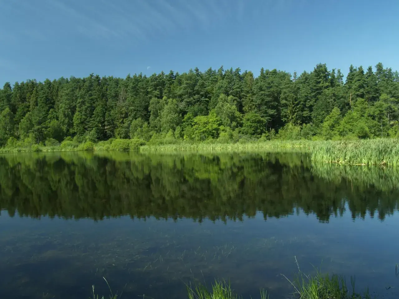 Spokojne jezioro z odbijającym się lasem i błękitnym niebem.