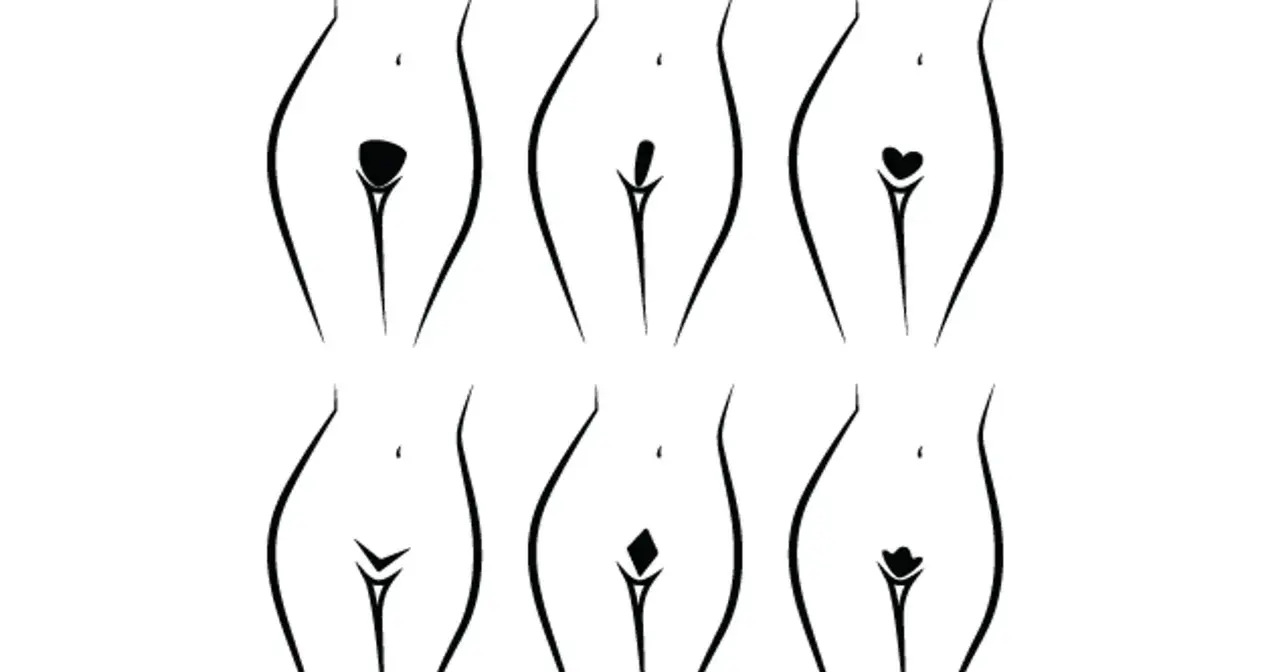 Ilustracje pokazujące różne style depilacji brazylijskiej: kształt serca, paska, kwiatka i inne.