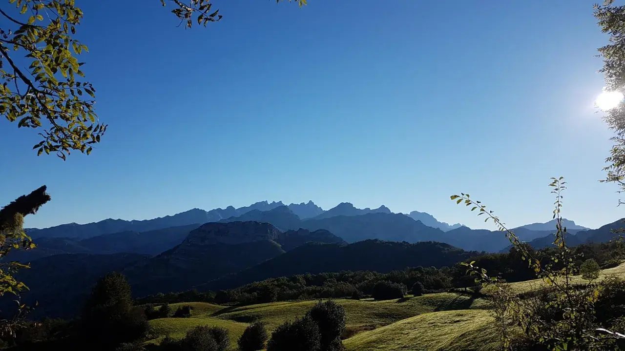 Paisaje montañoso con un bosque peloño al amanecer. El sol ilumina las cumbres y el cielo azul se extiende sobre la naturaleza.