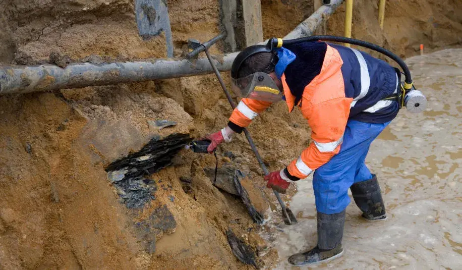Bioremediacja - na czym polega ten rodzaj remediacji?