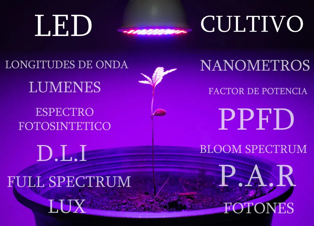 Planta joven bajo un foco led 5w para cultivo, rodeada de términos técnicos como espectro, lúmenes y nanómetros.