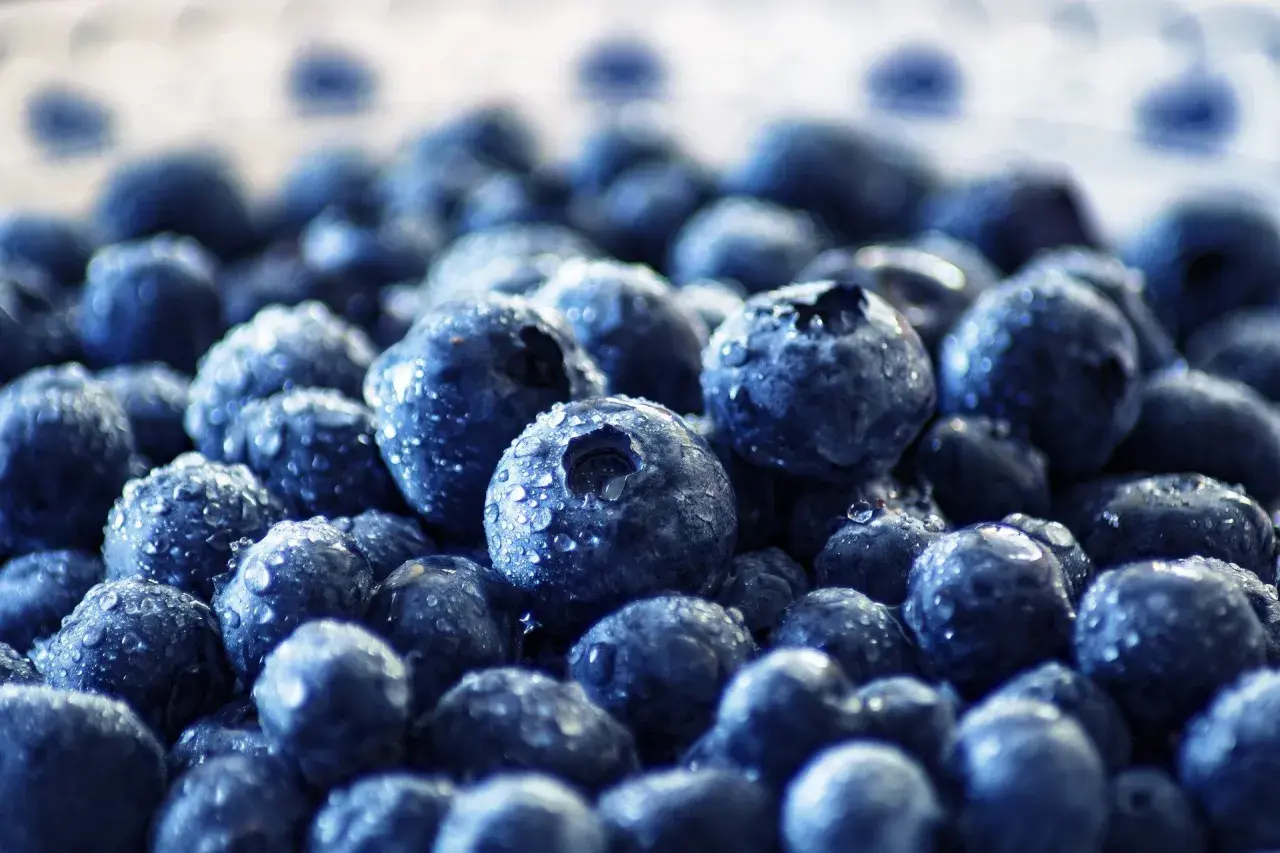 Frische Blaubeeren mit Wassertropfen. Ideal für die Einnahme von Quercetin, wann immer Sie einen gesunden Snack wünschen.
