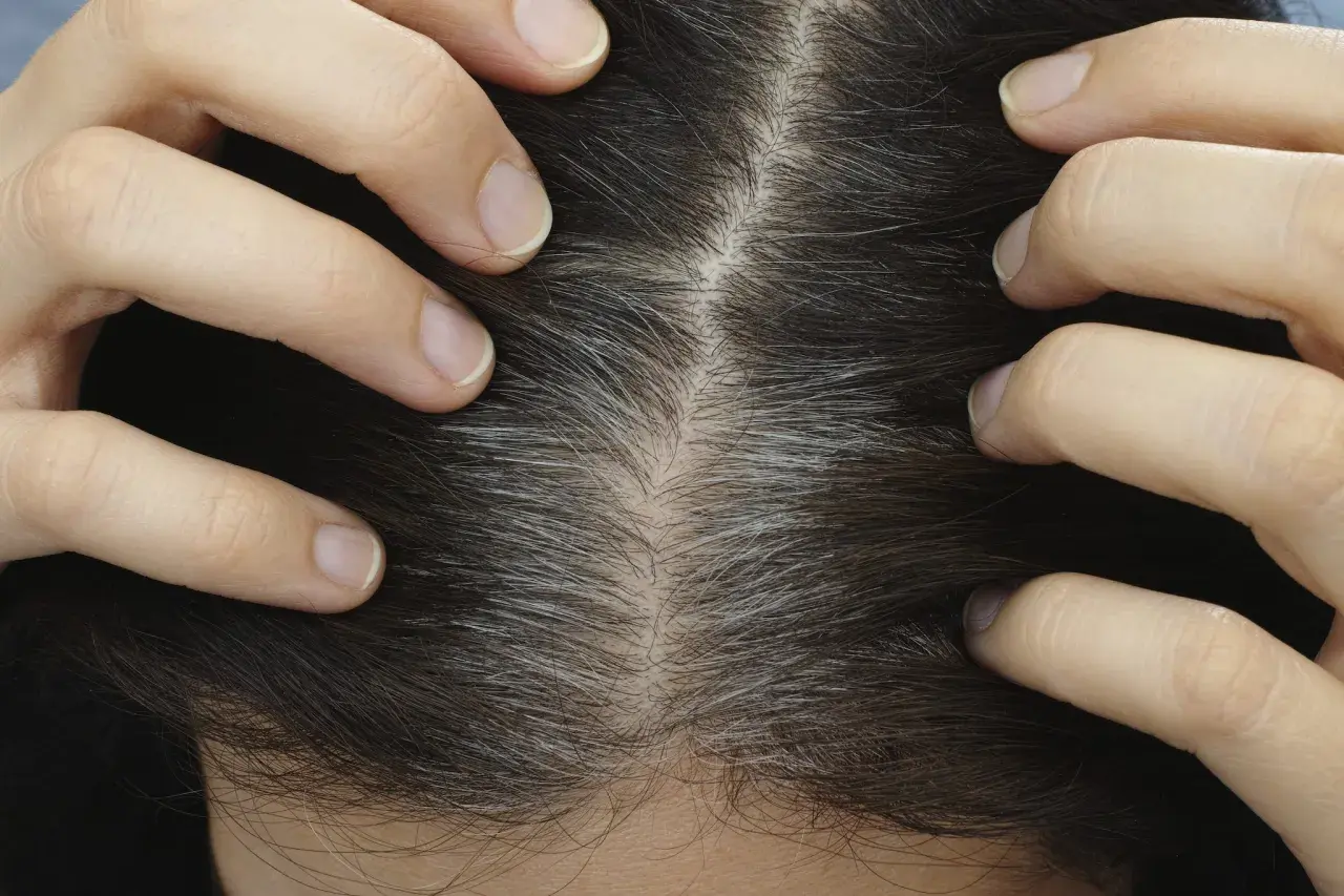 Mani che separano i capelli scuri per mostrare la ricrescita grigia, un primo piano utile per capire come applicare la tinta sulla ricrescita da sola.