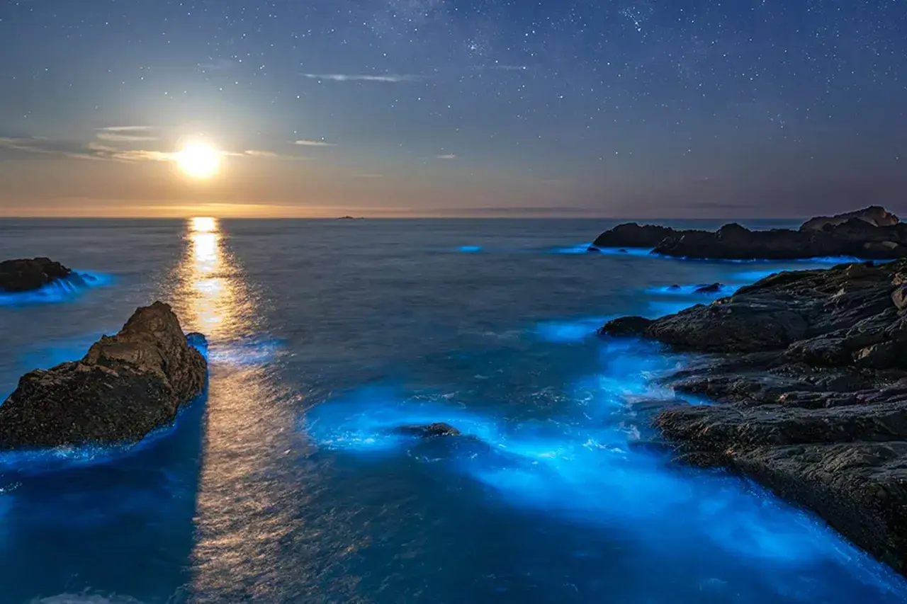 Nocna plaża z rozświetloną przez bioluminescencję wodą i księżycem na niebie.