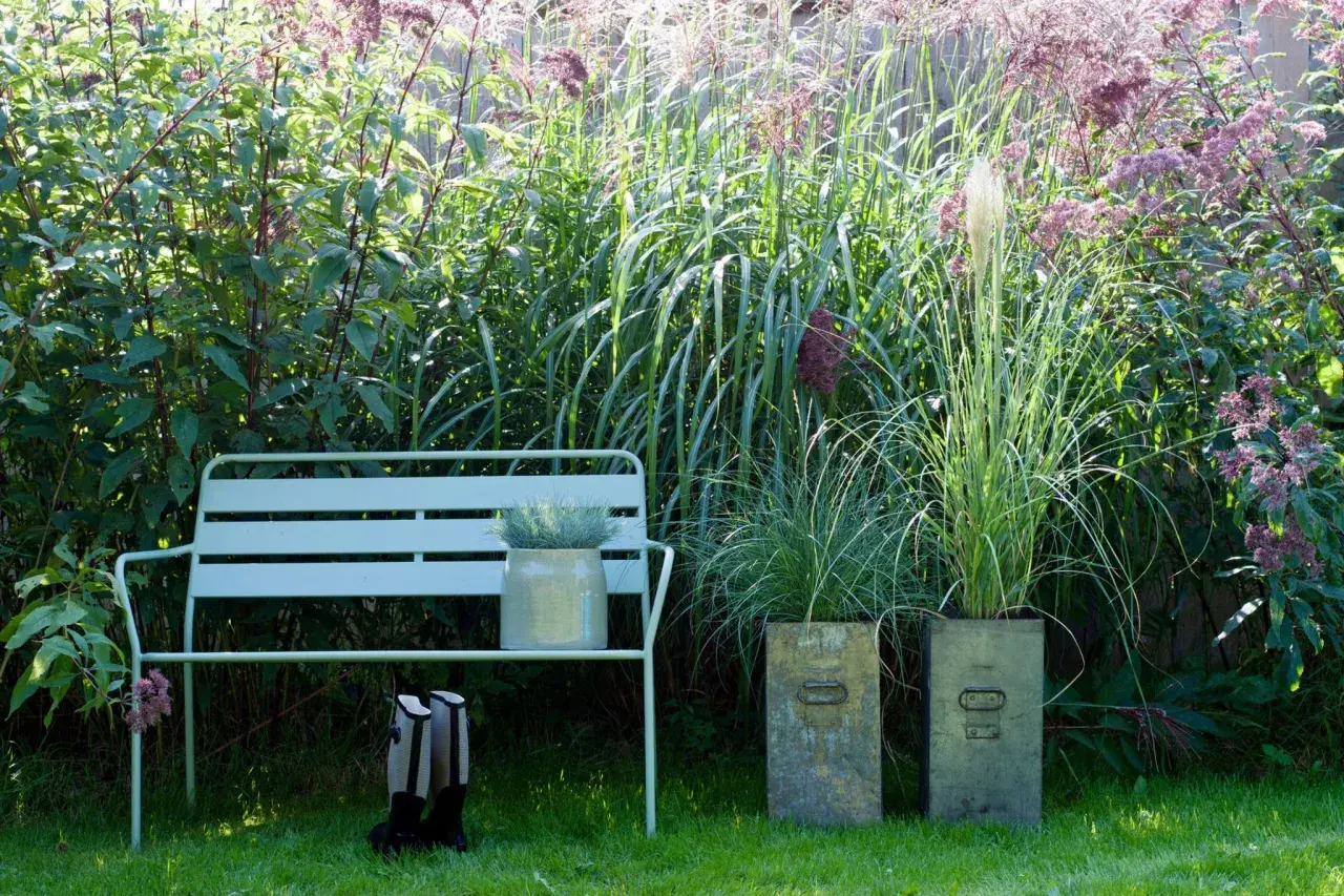 Ein Garten mit hohen Stauden als Sichtschutz. Eine Bank lädt zum Verweilen ein, daneben stehen Stiefel.