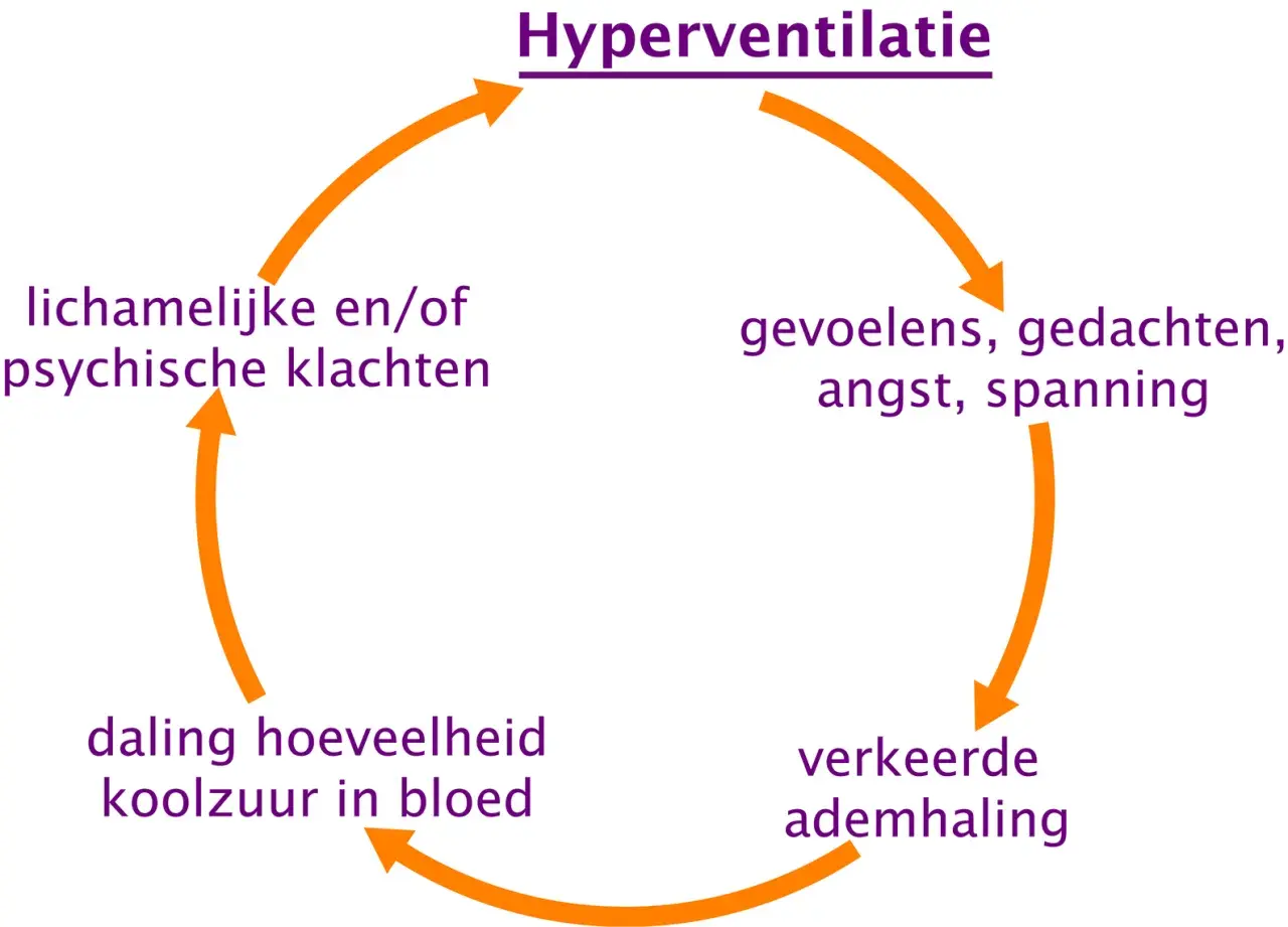 Diagram van hyperventilatie: gevoelens, gedachten, angst, spanning leiden tot verkeerde ademhaling, daling koolzuur, en klachten. Een hyperventilatie zakje blazen kan helpen.