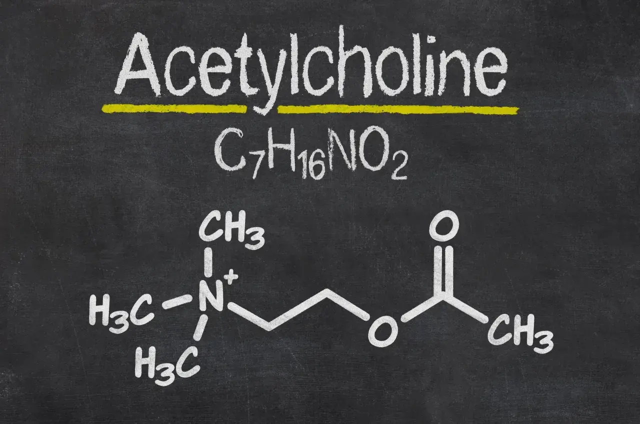 Struktura chemiczna acetylocholiny, kluczowego neuroprzekaźnika, przedstawiona na tablicy.