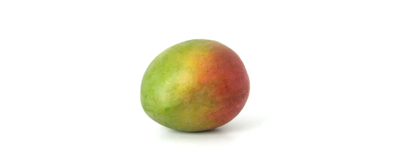 Eine reife Mango, grün und rot, liegt auf weißem Grund. Sie erinnert an einen kleinen, bunten Hund, der sich sonnt.