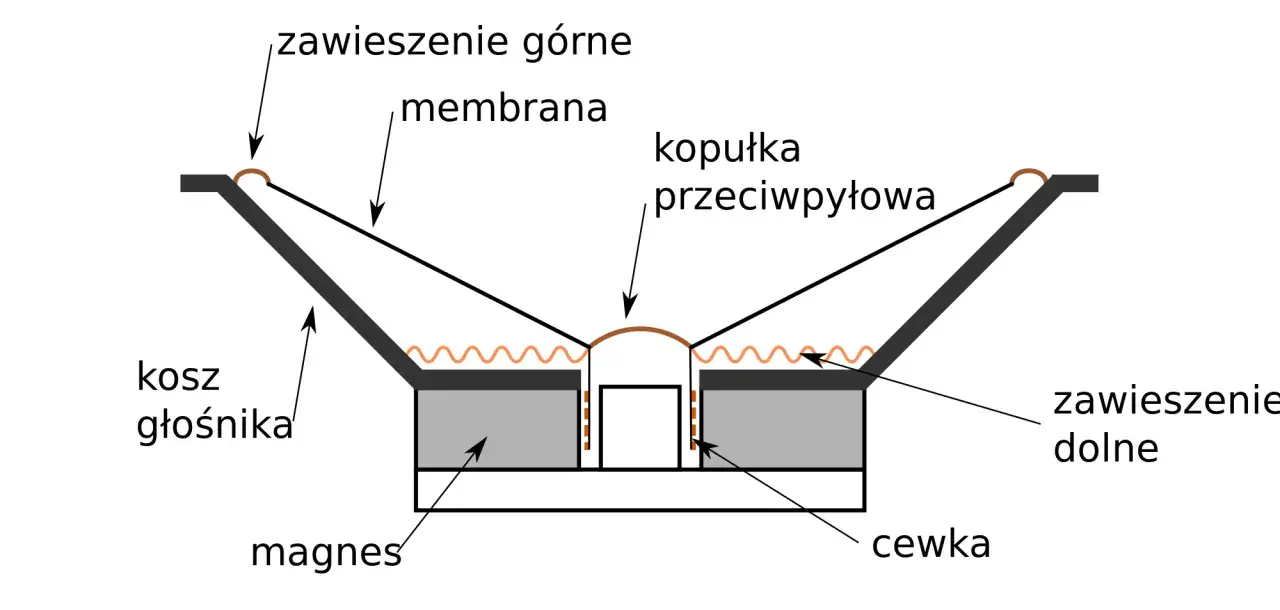 Schemat budowy kolumny głośnikowej: membrana, zawieszenie górne i dolne, kopułka przeciwpyłowa, kosz, magnes i cewka.