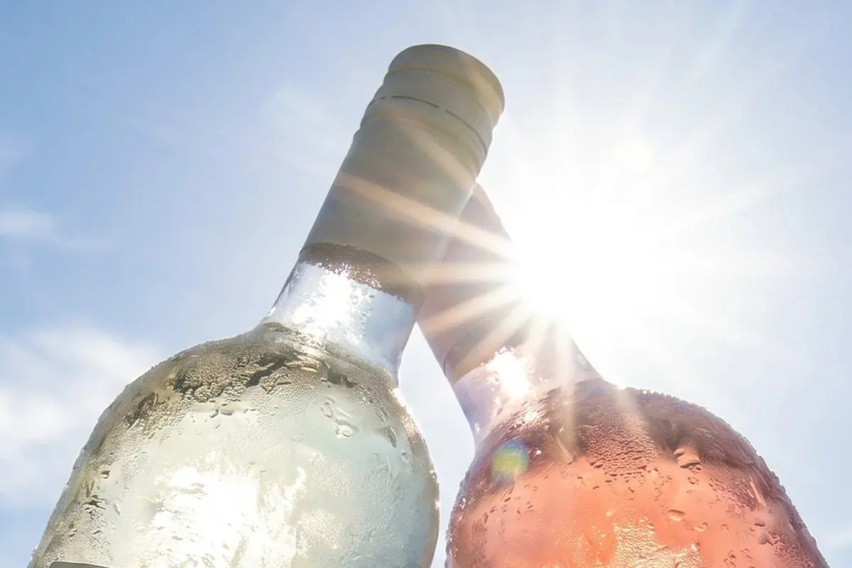 Zwei gekühlte Flaschen Wein, eine weiß, eine rosé, stoßen vor strahlender Sonne an. Perfekt für die 10 besten italienischen Weine.