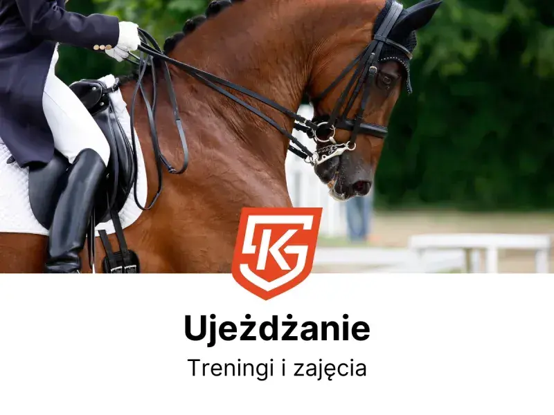 Jeździectwo naturalne Wrocław: Twój przewodnik po stajniach i cenach