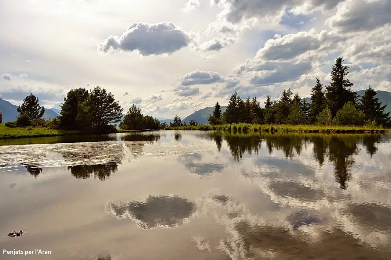 La bassa d'Arres, un espejo de agua sereno, refleja árboles frondosos y un cielo nublado.
