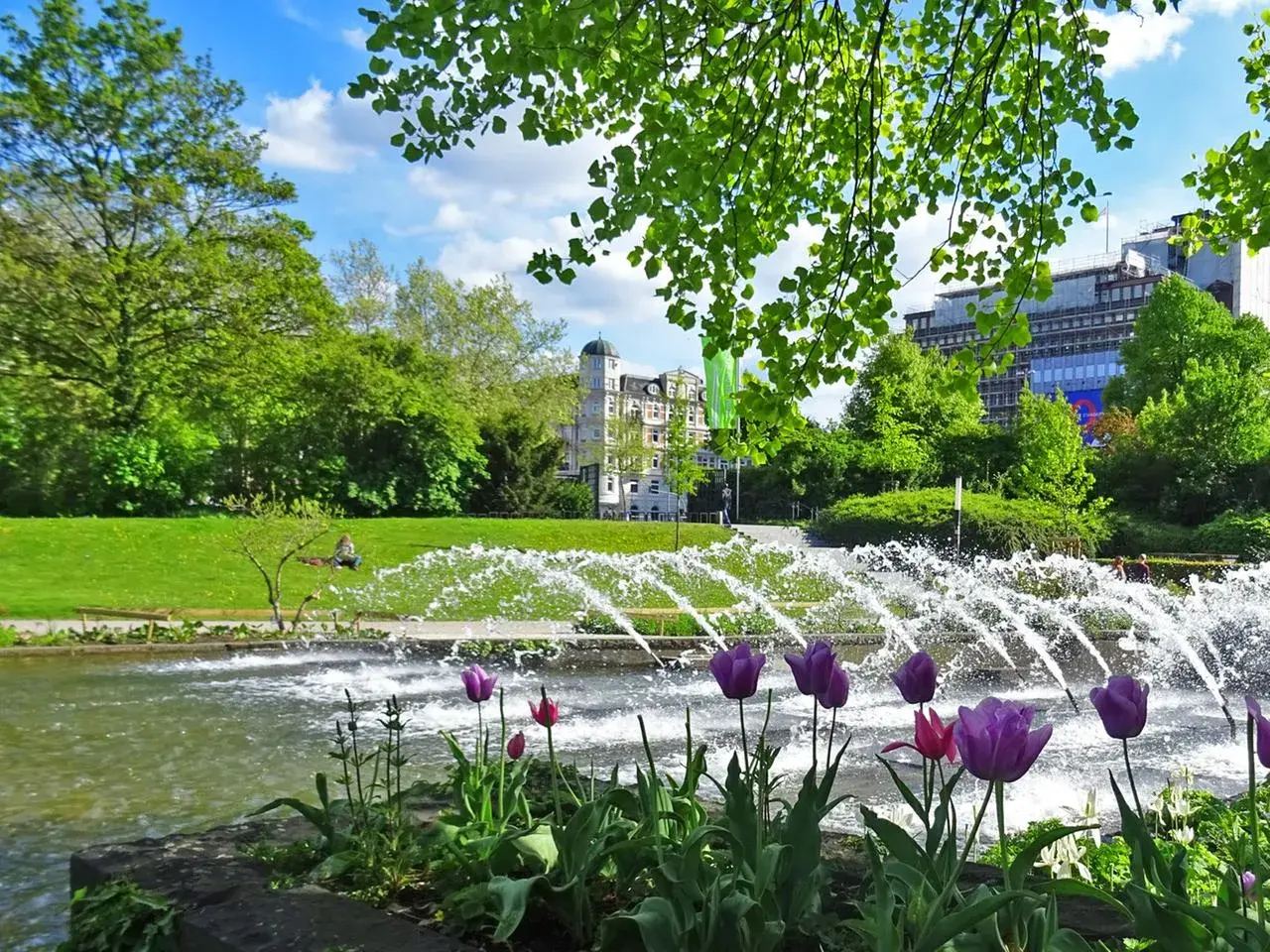Wasserspiele Hamburg: Tulpen blühen am Teich, während Fontänen im Park sprühen. Ein entspannter Tag im Grünen.