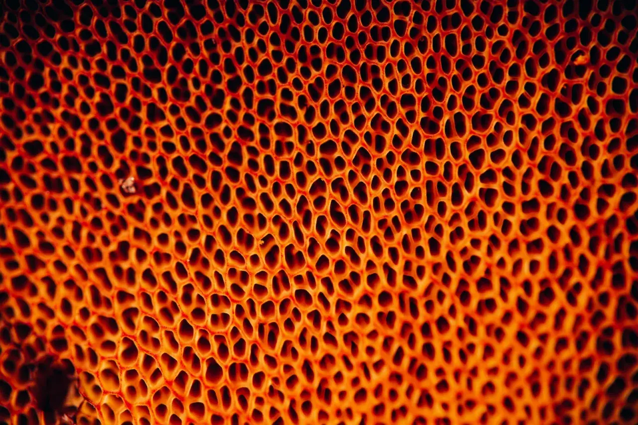 Close-up van een honingraatstructuur met oranje gloed. De vele kleine gaten kunnen bij sommigen een gaten fobie opwekken.