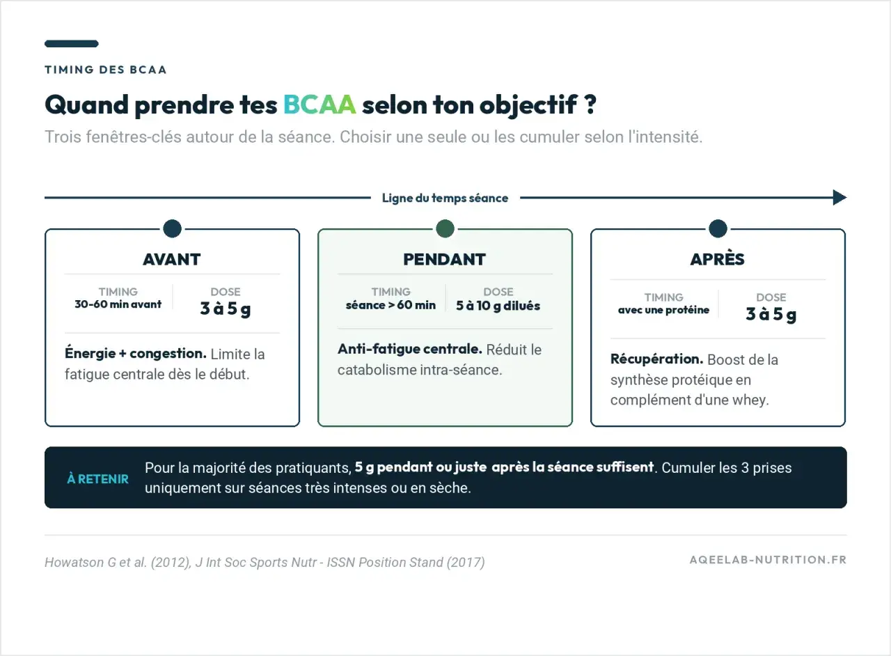 Quand prendre tes BCAA ? Avant, pendant ou après ta séance pour l'énergie, l'anti-fatigue ou la récupération.