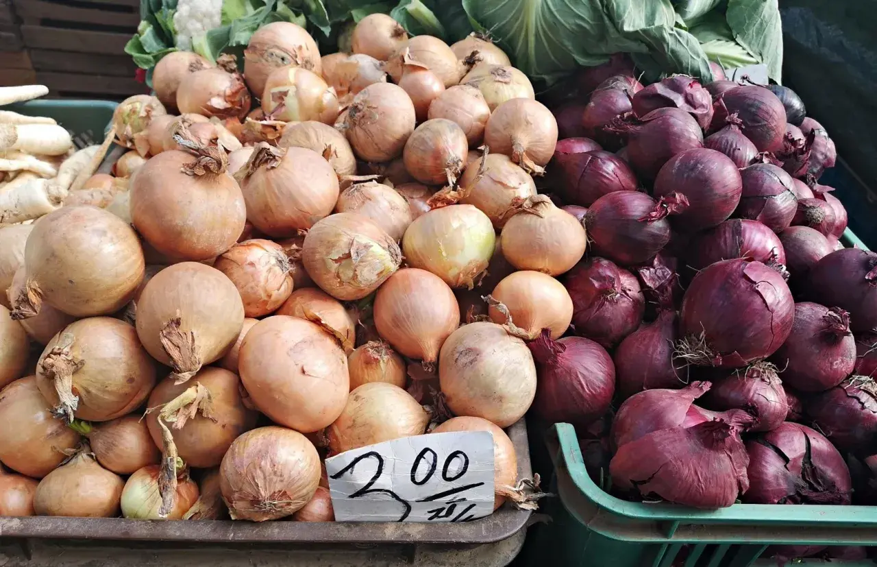 Stoisko z cebulą. Jasna i czerwona cebula, cena 2,00.