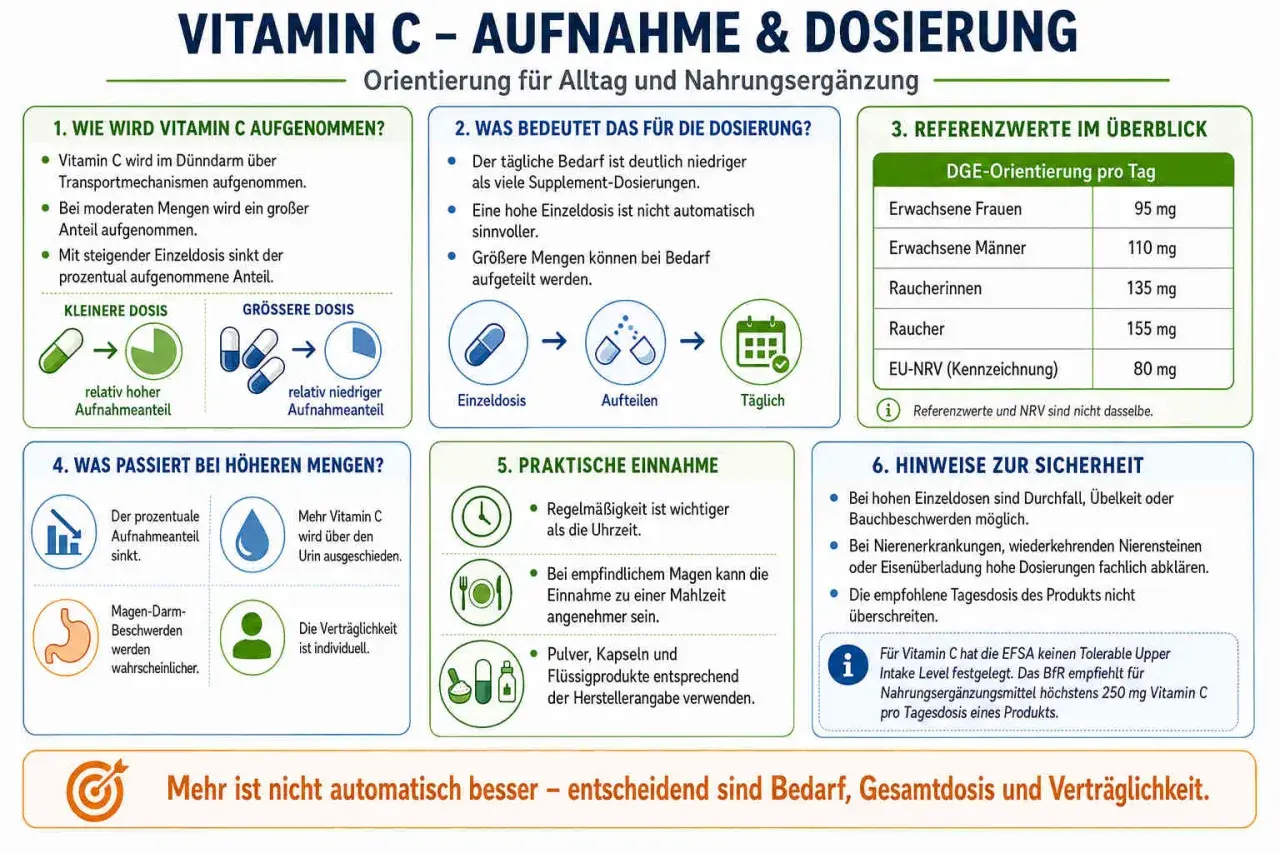 Infografik zu Vitamin C: Aufnahme, Dosierung, Referenzwerte (z.B. 95 mg für Frauen), praktische Einnahme und Sicherheitshinweise. Mehr ist nicht automatisch besser – entscheidend sind Bedarf, Gesamtdosis und Verträglichkeit.