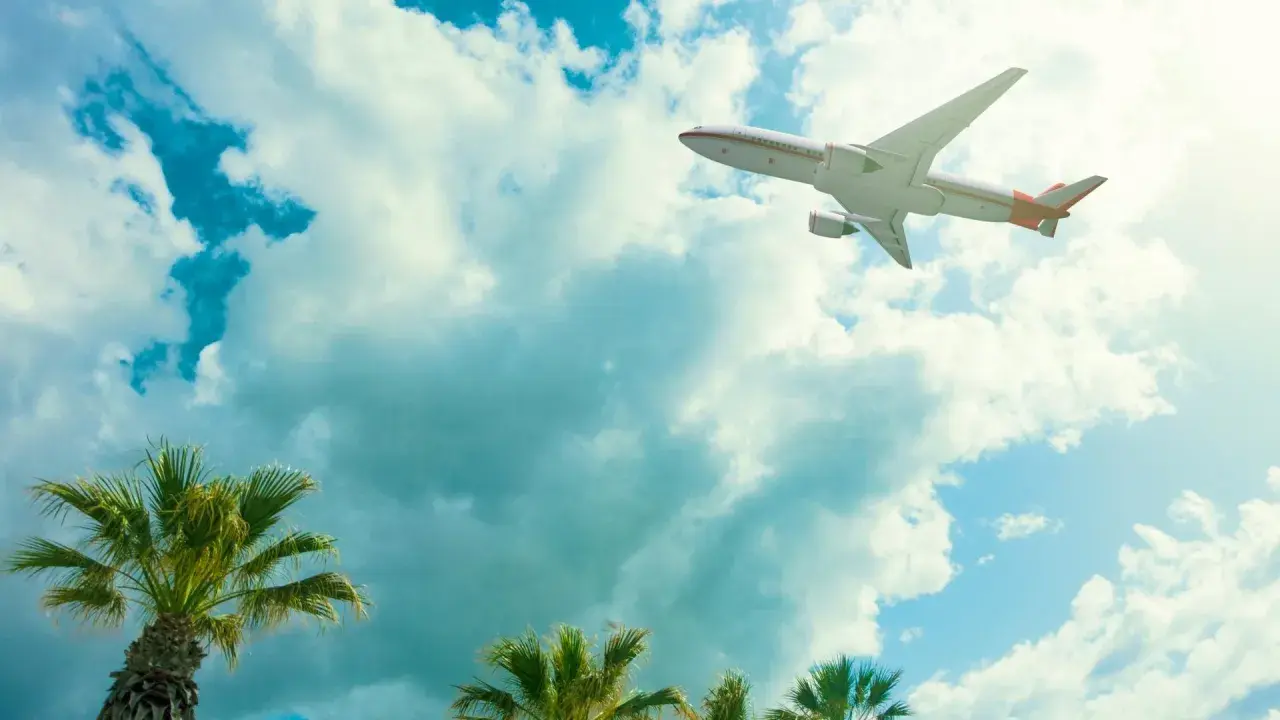 Avión surcando el cielo azul con nubes, palmeras abajo. ¡Listos para vuelos a Zanzibar!