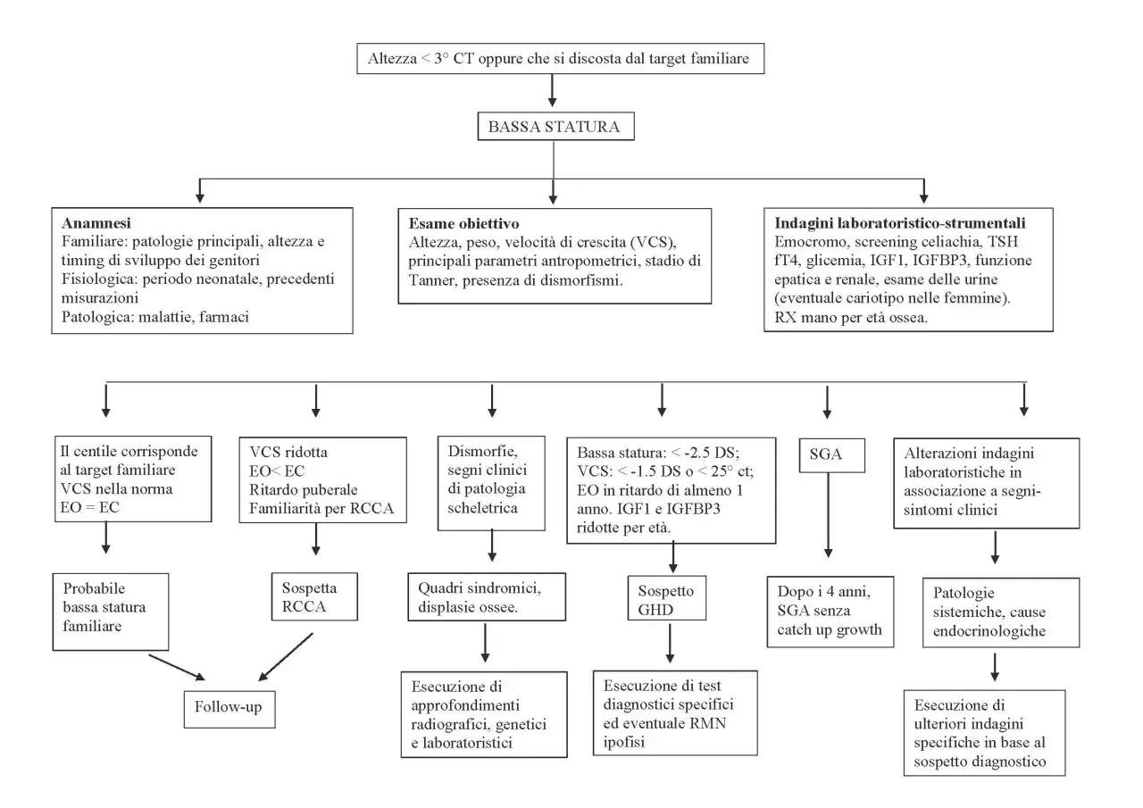 Diagramma di flusso per la bassa statura: valuta anamnesi, esame obiettivo e indagini per determinare se l'ormone della crescita è necessario fino a una certa età.
