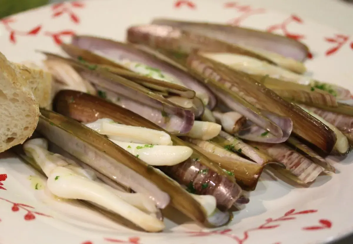 Navajas a la plancha, jugosas y tiernas, servidas con pan y perejil picado. Un manjar marino listo para disfrutar.