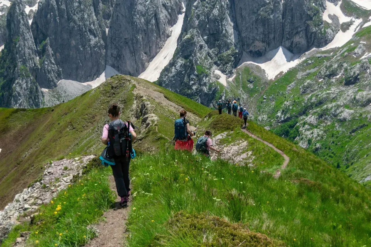 Grupa turystów na szlaku w Alpach. Idealne alpy trekking dla początkujących, z pięknymi widokami i łagodnymi zboczami.