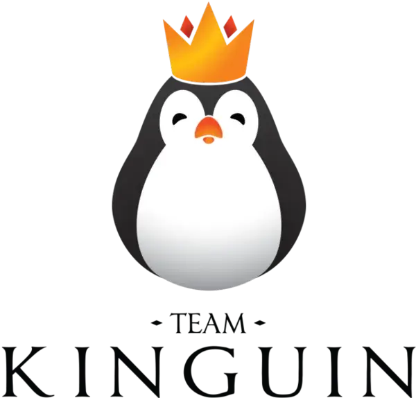 Team Kinguin: Wzloty i upadki polskiej legendy e-sportu