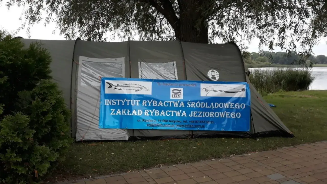 Namiot Instytutu Rybactwa Śródlądowego nad jeziorem sztumskim. Badania prowadzone są przez IRS.