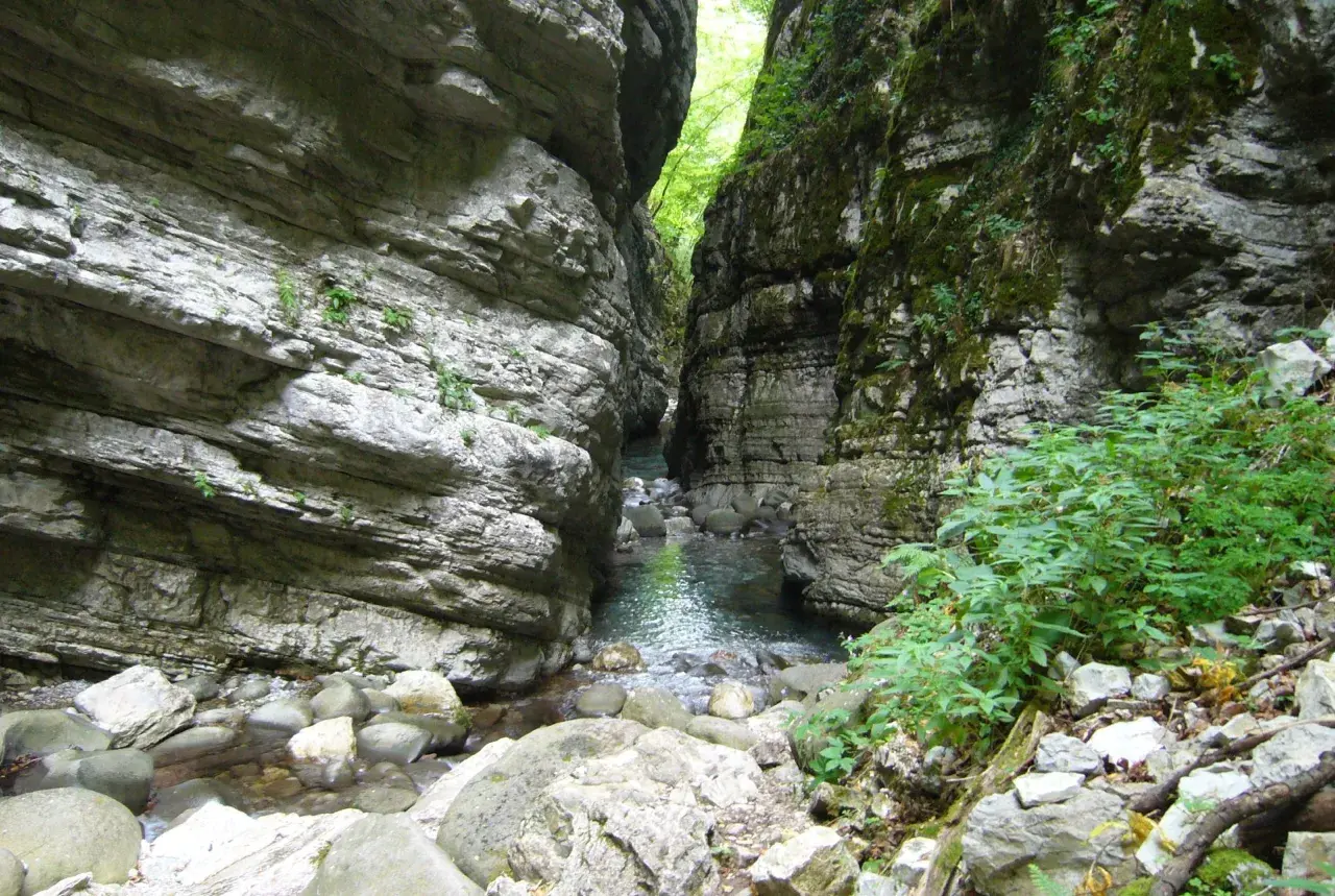 Un torrente scorre tra le alte pareti rocciose dell'orrido di Botri, con vegetazione che cresce tra le rocce e lungo le sponde.
