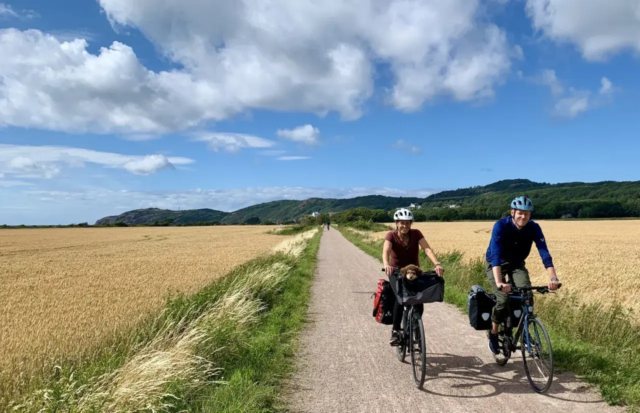 Couple enjoying Sweden bike tours through golden fields, with a dog in a basket.