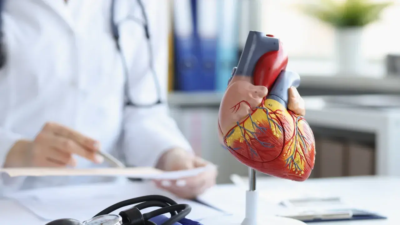 Vorsorge Herzinfarkt: So senken Sie Ihr Risiko effektiv und nachhaltig