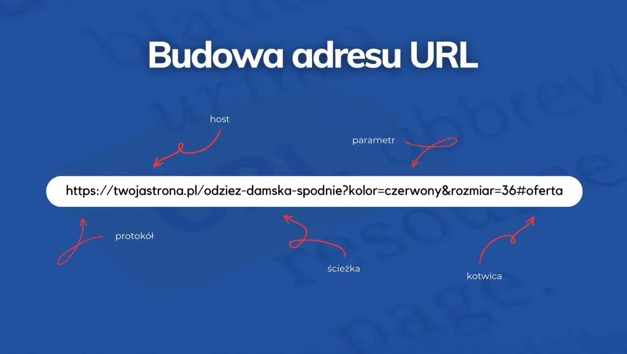 Schemat budowy adresu URL: protokół, host, ścieżka, parametr, kotwica. Przykład: https://twojastrona.pl/odziez-damska-spodnie?kolor=czerwony&rozmiar=36#oferta.