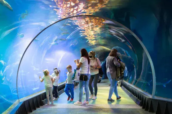 Bon Turystyczny Afrykarium Wrocław? Nie! Ale jak zaoszczędzić na biletach?