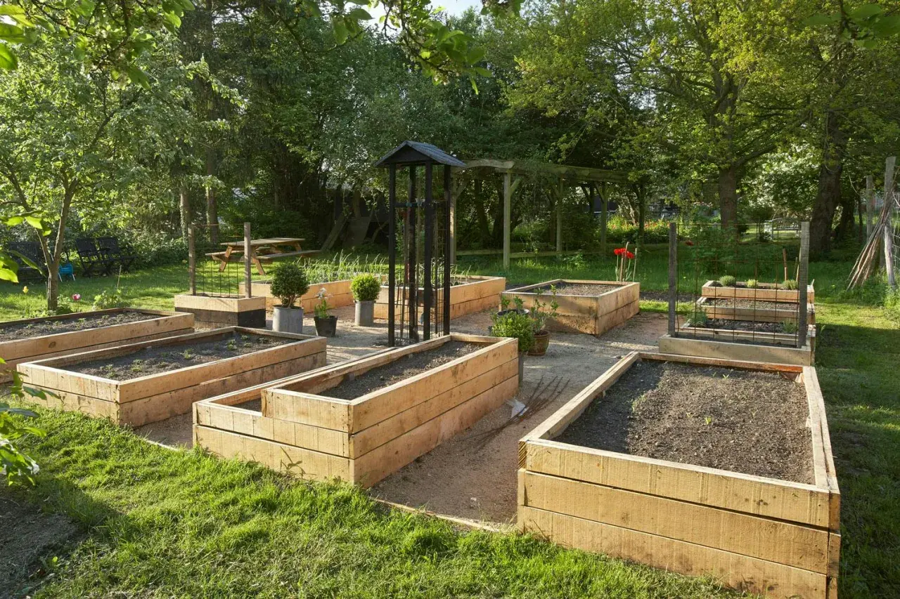 En vacker trädgård med flera nybyggda odlingslådor på ben, redo för plantering.