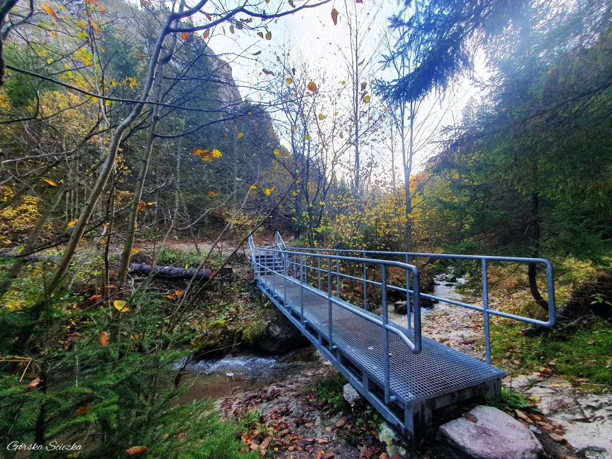 Mostek nad strumieniem w jesiennym wąwozie Homole. Idealny czas na przejście szlakiem.