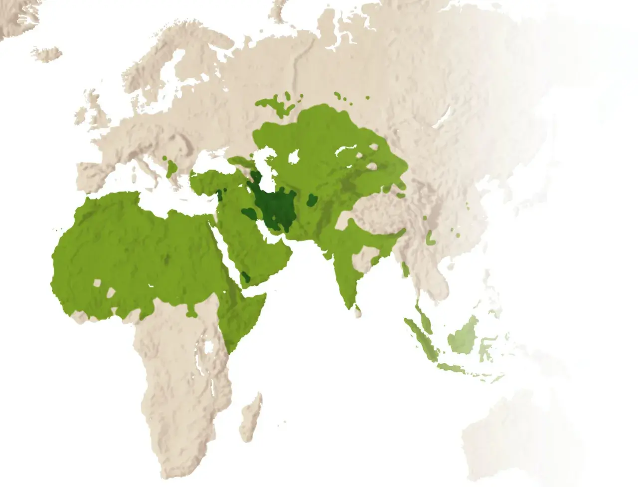 Karta som visar spridningen av islam. Kanske 10 skillnader mellan shia och sunni kan förklaras med dessa områden.