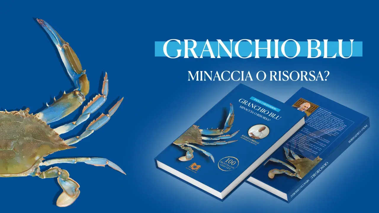 Il granchio blu, minaccia o risorsa? Libri esplorano il fenomeno, con ricette e interviste.