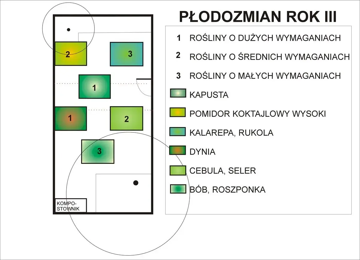 Schemat płodozmianu na rok III: pola z roślinami o dużych (1), średnich (2) i małych (3) wymaganiach, w tym kapusta, pomidor, dynia.