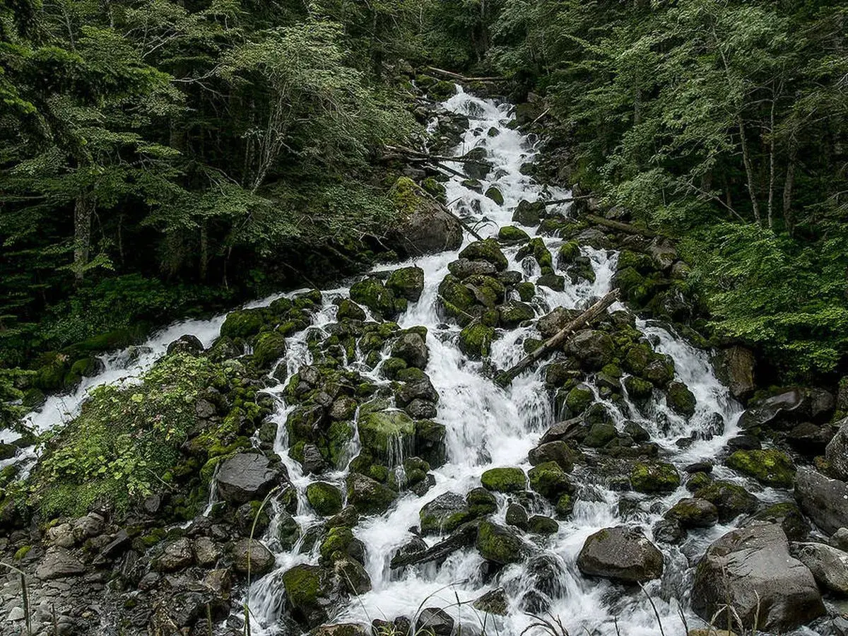 Cascada en los Pirineos, el agua desciende entre rocas cubiertas de musgo, alimentando lagos cristalinos.