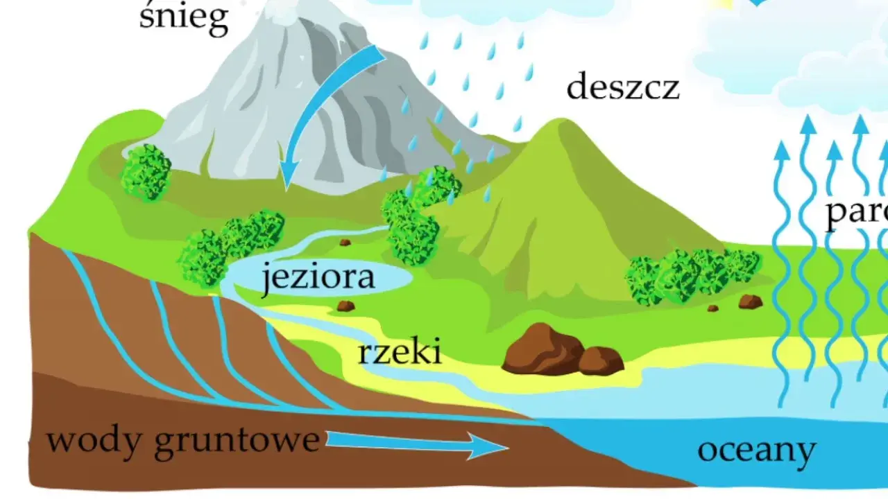 Skąd woda w kranie? Poznaj całą drogę i tajniki uzdatniania!