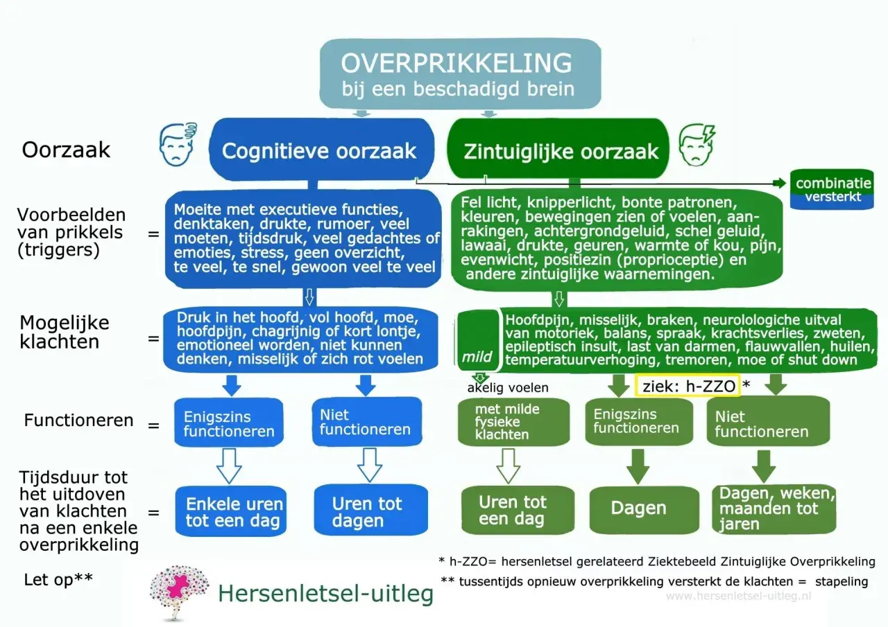 Schema over overprikkeling bij hersenletsel: oorzaken, klachten, functioneren en duur. Behandeling van een overbelast zenuwstelsel is hierin verwerkt.