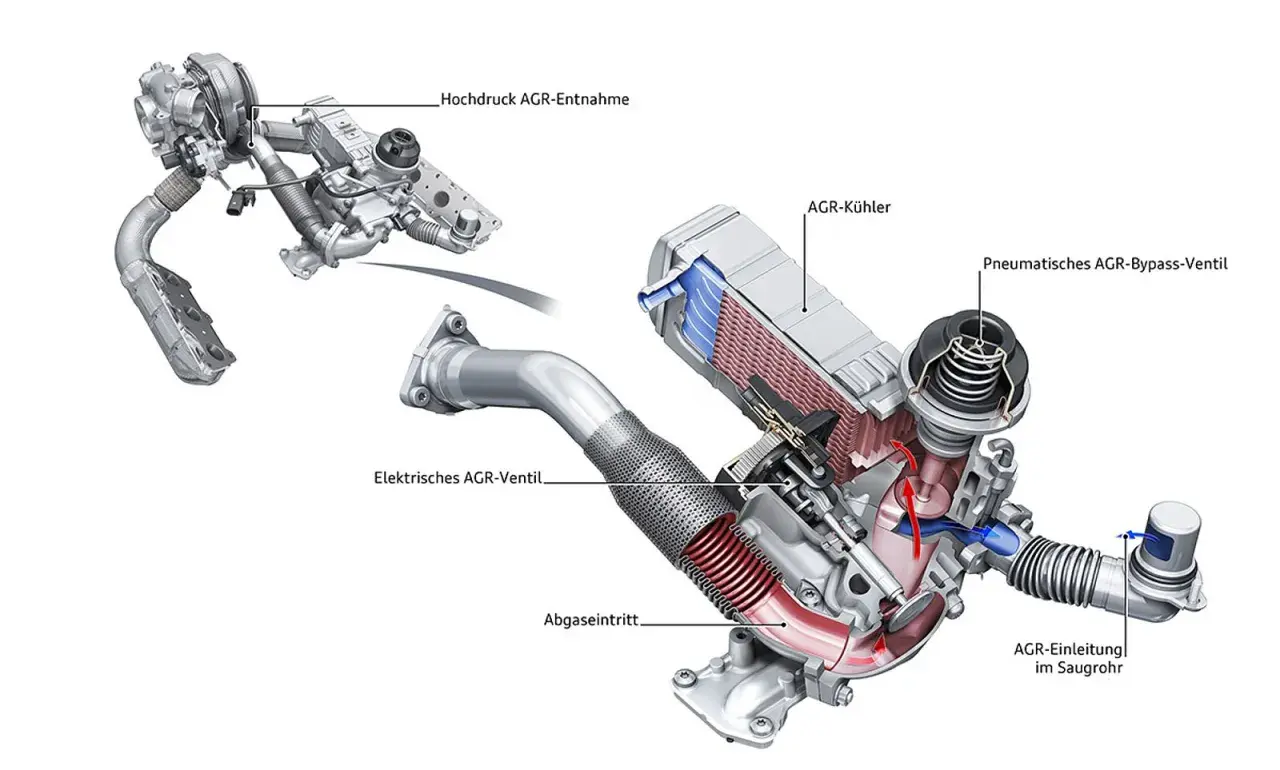 Schnittdarstellung eines AGR-Systems für ein Auto. Zeigt AGR-Kühler, Ventile und AGR-Entnahme.
