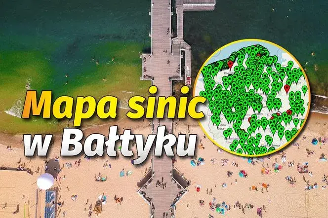 Gdzie sinice nad morzem? Sprawdź, gdzie nie można się kąpać