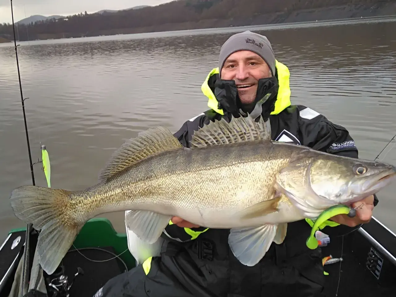 Glücklicher Angler hält einen großen Zander, gefangen im Edersee. Die Fische hier sind beeindruckend!